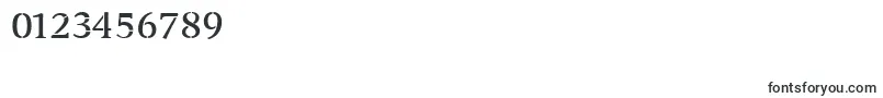 TransportSmallcaps Font – Fonts for Numbers and Digits