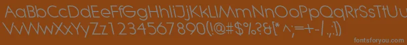 LitheleftyRegular Font – Gray Fonts on Brown Background