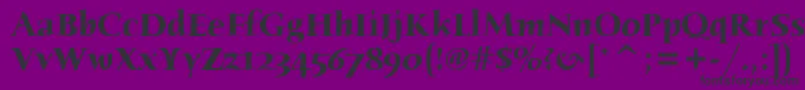 HumanaSerifItcTtBold Font – Black Fonts on Purple Background
