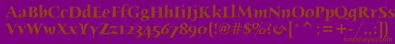 HumanaSerifItcTtBold Font – Brown Fonts on Purple Background