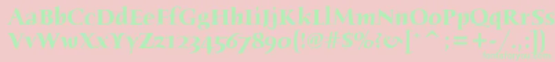 HumanaSerifItcTtBold Font – Green Fonts on Pink Background