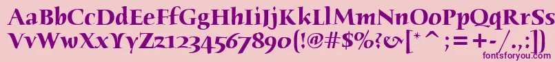 HumanaSerifItcTtBold Font – Purple Fonts on Pink Background