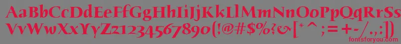 HumanaSerifItcTtBold Font – Red Fonts on Gray Background