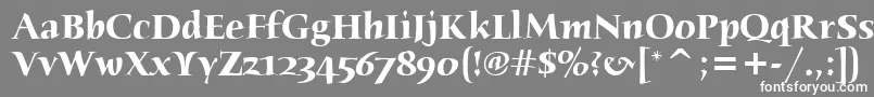 HumanaSerifItcTtBold Font – White Fonts on Gray Background