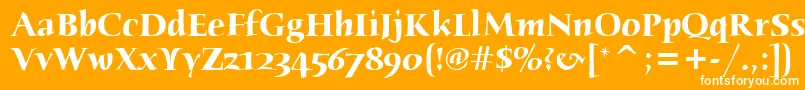 HumanaSerifItcTtBold Font – White Fonts on Orange Background