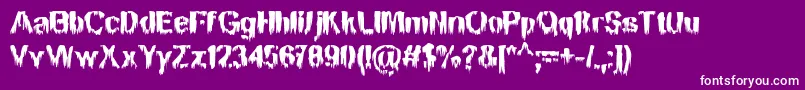 BnMansonNights Font – White Fonts on Purple Background