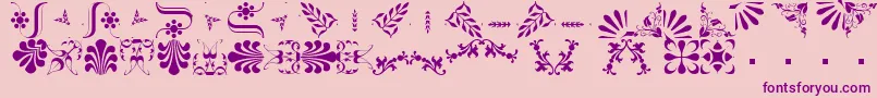 BorderbatsFleur2 Font – Purple Fonts on Pink Background