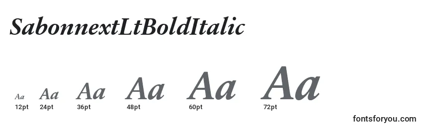 SabonnextLtBoldItalic Font Sizes