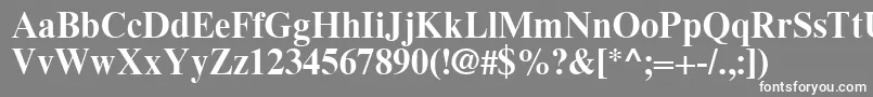 フォントTimesEighteenLtBold – 灰色の背景に白い文字