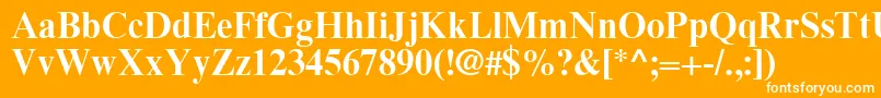 フォントTimesEighteenLtBold – オレンジの背景に白い文字