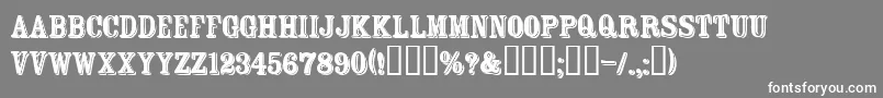 FtRosecubeNormal Font – White Fonts on Gray Background
