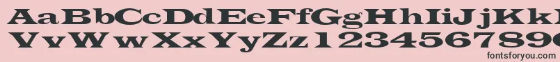 TransverselightsskRegular Font – Black Fonts on Pink Background