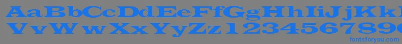 TransverselightsskRegular Font – Blue Fonts on Gray Background