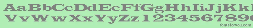 TransverselightsskRegular Font – Gray Fonts on Green Background