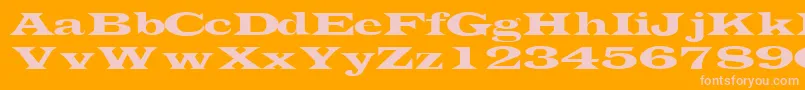 TransverselightsskRegular Font – Pink Fonts on Orange Background