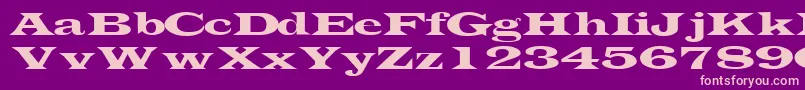 TransverselightsskRegular Font – Pink Fonts on Purple Background