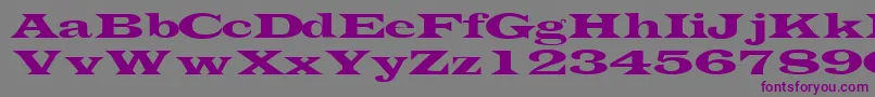 TransverselightsskRegular Font – Purple Fonts on Gray Background