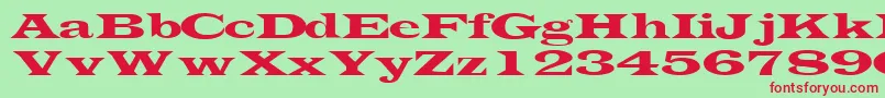 TransverselightsskRegular Font – Red Fonts on Green Background