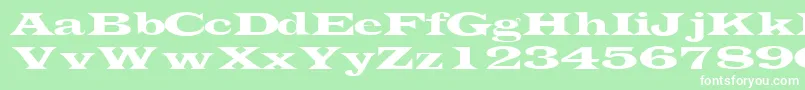 TransverselightsskRegular Font – White Fonts on Green Background