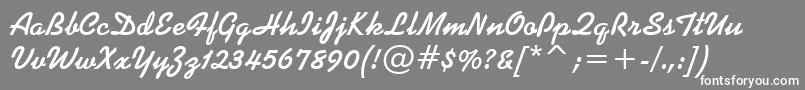 KaufmannBoldBt Font – White Fonts on Gray Background