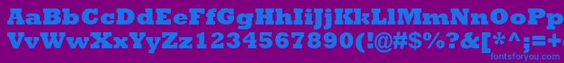 AstuteBlackSsiExtraBold Font – Blue Fonts on Purple Background