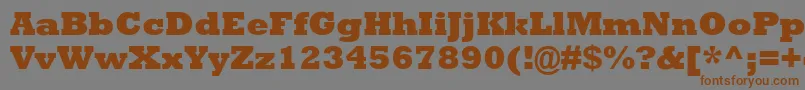 AstuteBlackSsiExtraBold Font – Brown Fonts on Gray Background