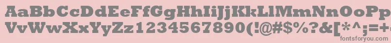 AstuteBlackSsiExtraBold Font – Gray Fonts on Pink Background