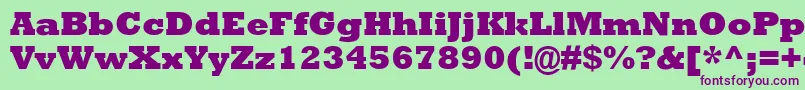 AstuteBlackSsiExtraBold Font – Purple Fonts on Green Background