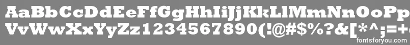 フォントAstuteBlackSsiExtraBold – 灰色の背景に白い文字