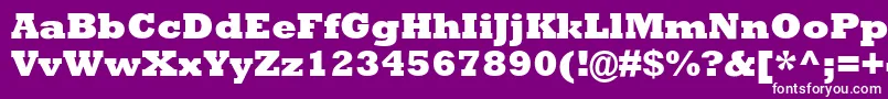 フォントAstuteBlackSsiExtraBold – 紫の背景に白い文字