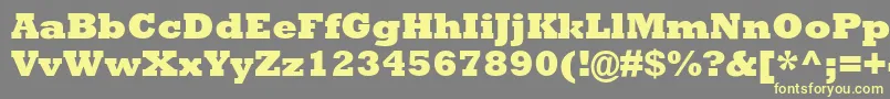 AstuteBlackSsiExtraBold Font – Yellow Fonts on Gray Background