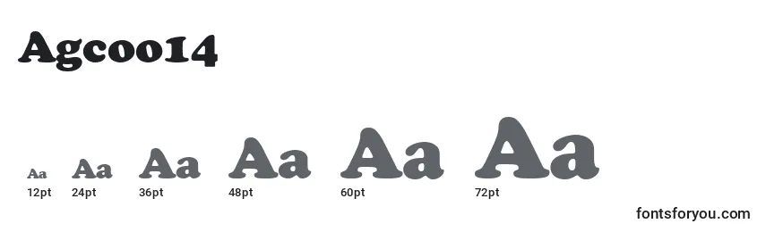 Размеры шрифта Agcoo14