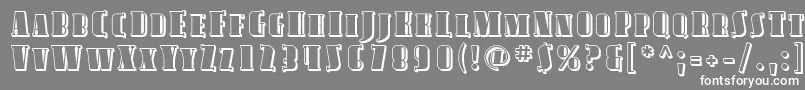 AvondaleScShaded Font – White Fonts on Gray Background