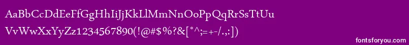 ArabicTypesetting Font – White Fonts on Purple Background