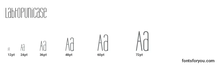 LabtopUnicase Font Sizes