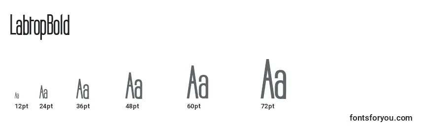 LabtopBold Font Sizes
