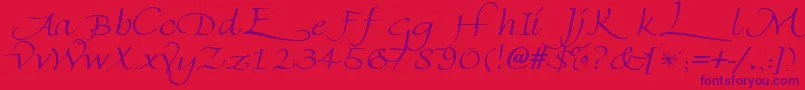 FlorentineswashcapsRegular Font – Purple Fonts on Red Background