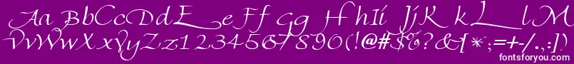 FlorentineswashcapsRegular-Schriftart – Weiße Schriften auf violettem Hintergrund