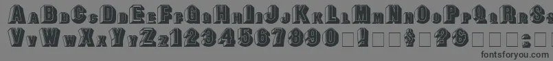 LeeCapitals-Schriftart – Schwarze Schriften auf grauem Hintergrund