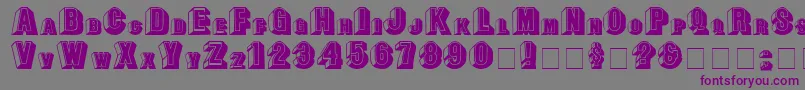 LeeCapitals Font – Purple Fonts on Gray Background