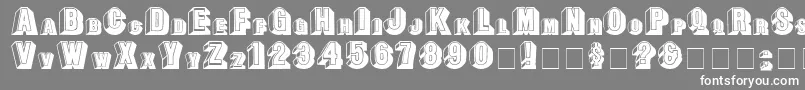 フォントLeeCapitals – 灰色の背景に白い文字