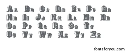 Review of the LeeCapitals Font
