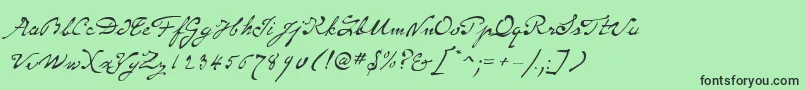 SameSexMarriageScriptLdo Font – Black Fonts on Green Background