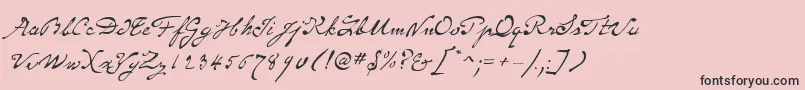 SameSexMarriageScriptLdo Font – Black Fonts on Pink Background