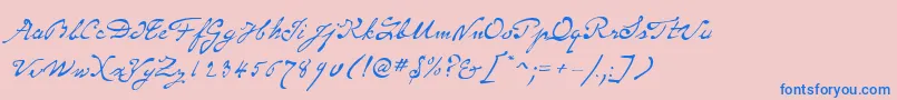SameSexMarriageScriptLdo Font – Blue Fonts on Pink Background
