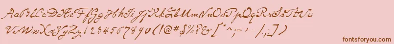 SameSexMarriageScriptLdo Font – Brown Fonts on Pink Background