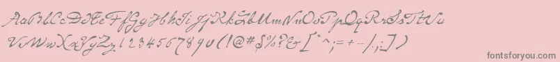 Fonte SameSexMarriageScriptLdo – fontes cinzas em um fundo rosa