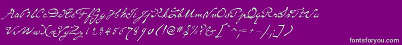 SameSexMarriageScriptLdo Font – Green Fonts on Purple Background
