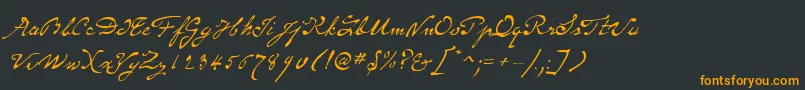 SameSexMarriageScriptLdo Font – Orange Fonts on Black Background
