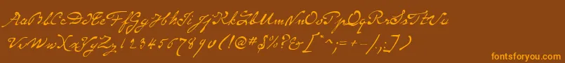 SameSexMarriageScriptLdo Font – Orange Fonts on Brown Background